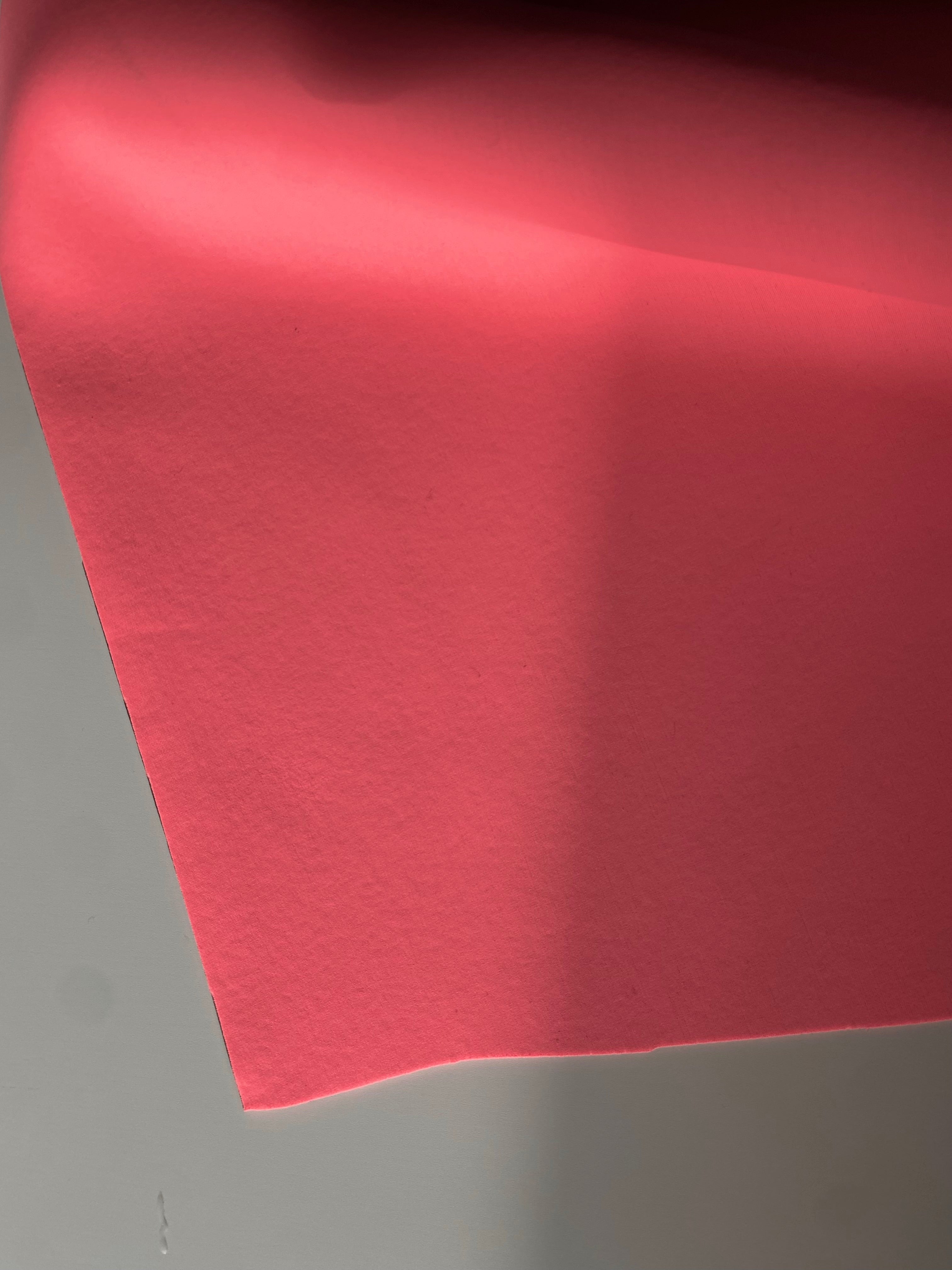 206P. Technical double sided jersey